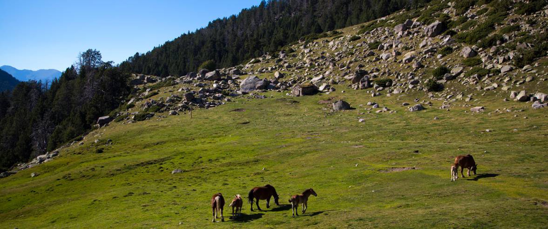 La naturaleza te espera Ushuaia The Mountain Hotel  Arinsal