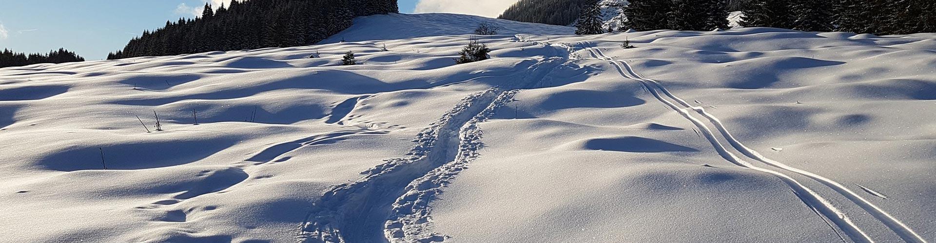 Ushuaia The Mountain Hotel Arinsal Ushuaia The Mountain Hotel Arinsal