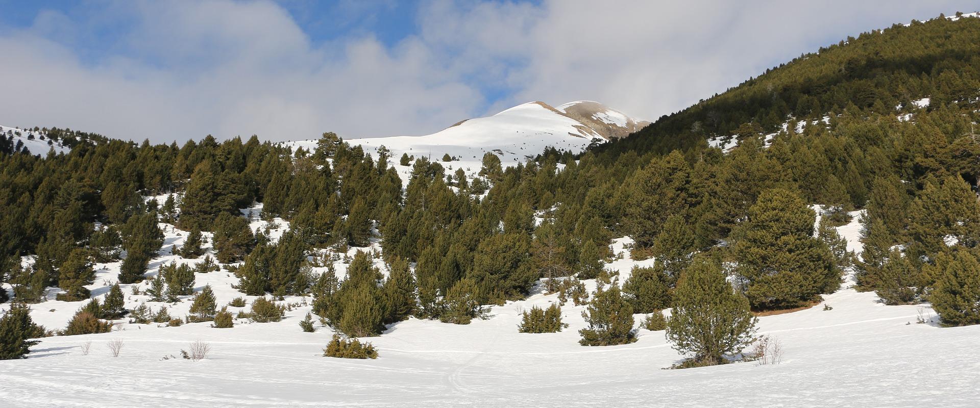 Fotos Ushuaia The Mountain Hotel Arinsal Fotos Ushuaia The Mountain Hotel Arinsal