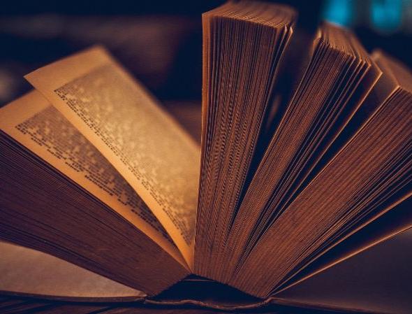 Sala de Lectura Ushuaia The Mountain Hotel  Arinsal Sala de Lectura Ushuaia The Mountain Hotel  Arinsal